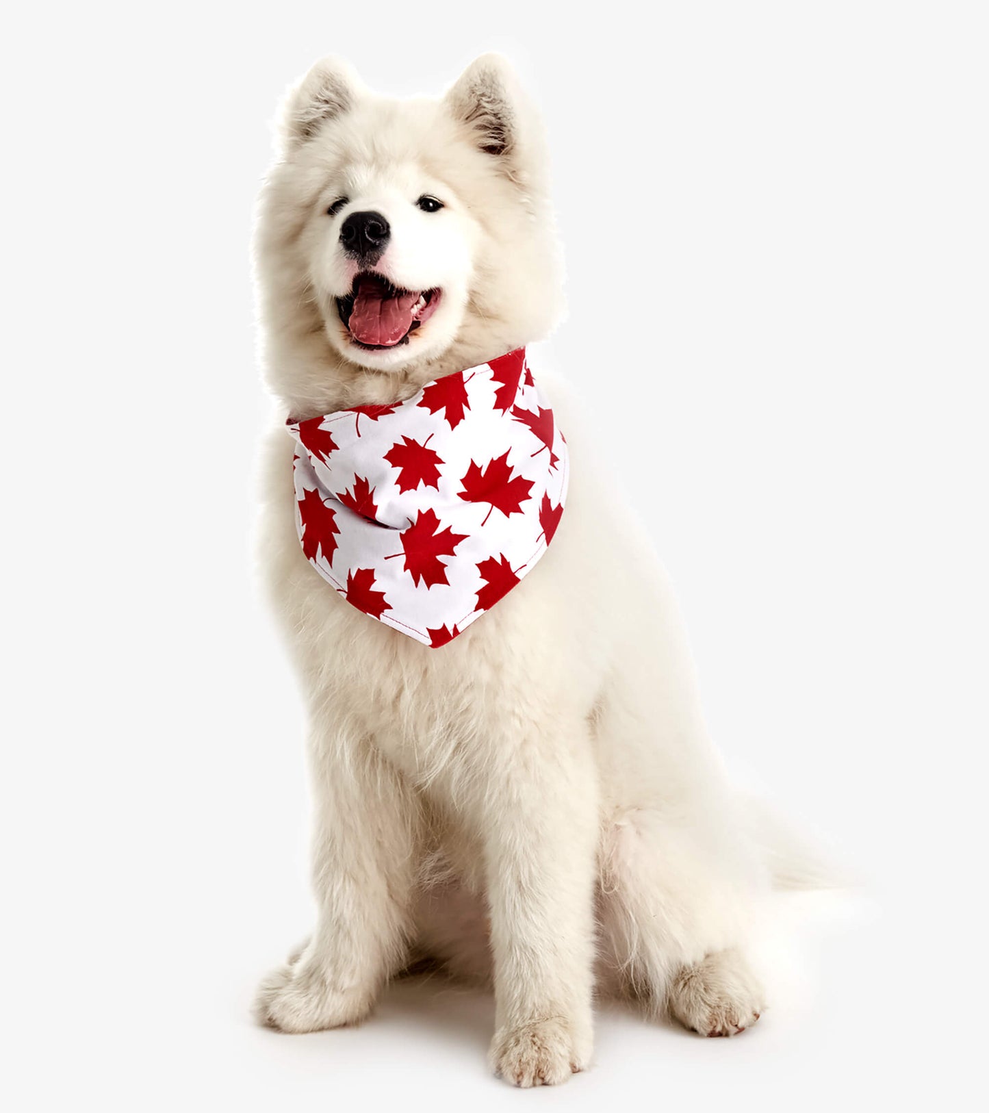 Dog Bandana - Red Maple Leaf Hatley Little Blue House