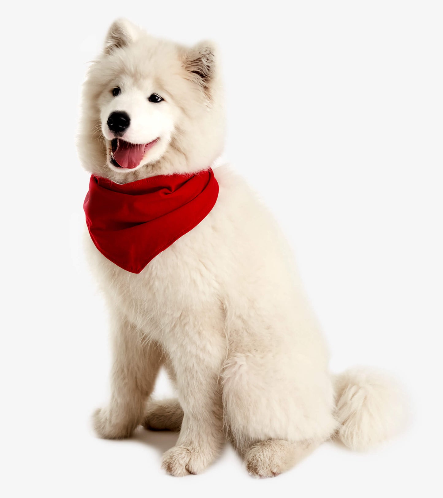 Dog Bandana - Red Maple Leaf Hatley Little Blue House
