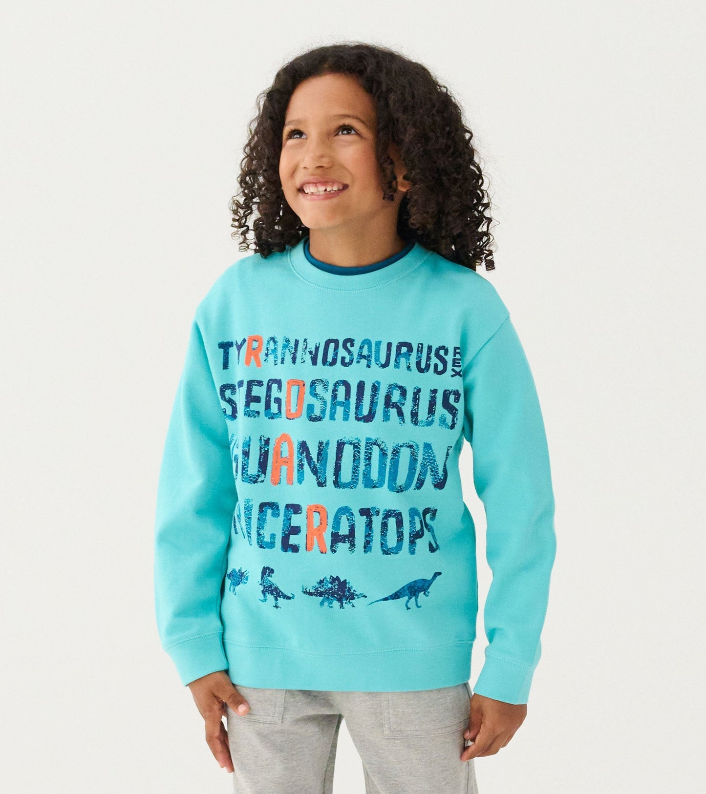 Turquoise sweatshirt featuring dinosaur names in bold text, perfect for casual wear.