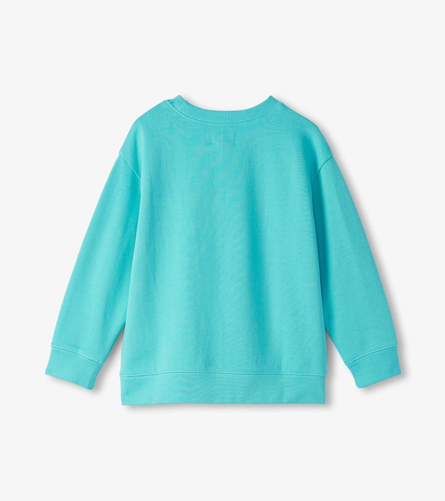 Turquoise sweatshirt with long sleeves and a crew neckline, featuring a soft fabric and relaxed fit.