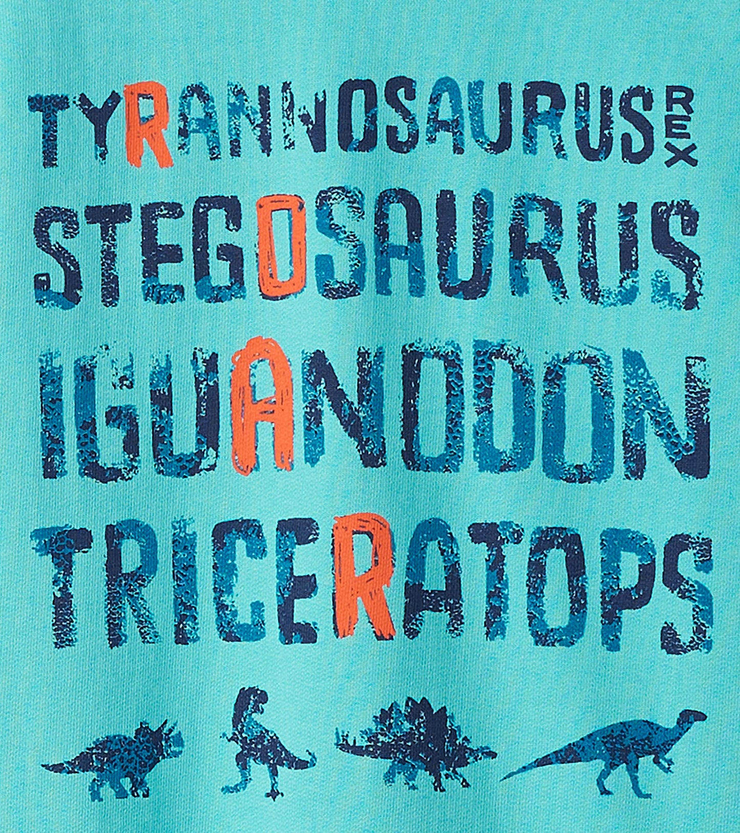 Turquoise sweatshirt featuring dinosaur names in bold, colorful text and playful dinosaur graphics.