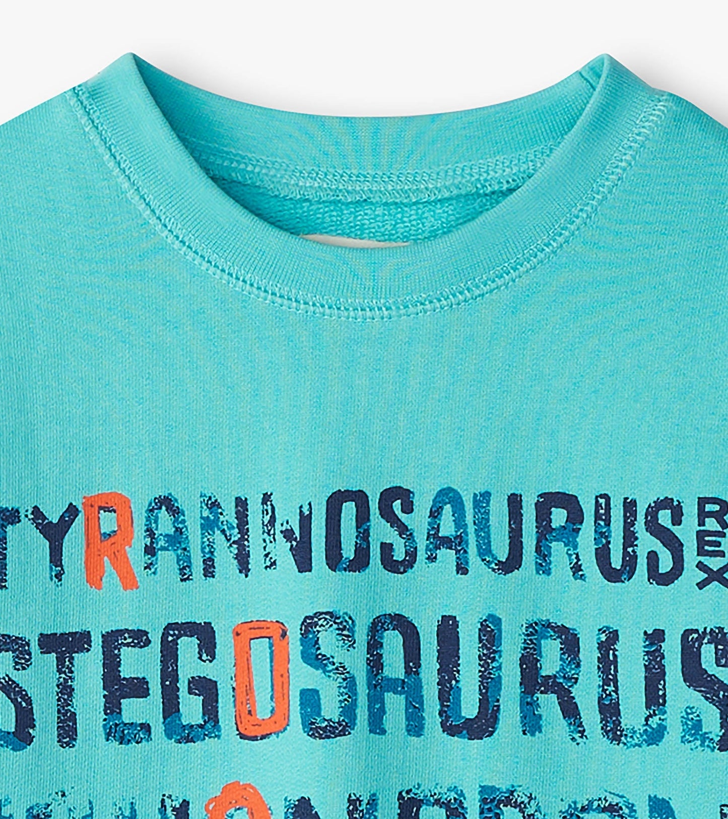 Light blue sweatshirt featuring dinosaur names in bold, colorful text. Round neckline and soft fabric.