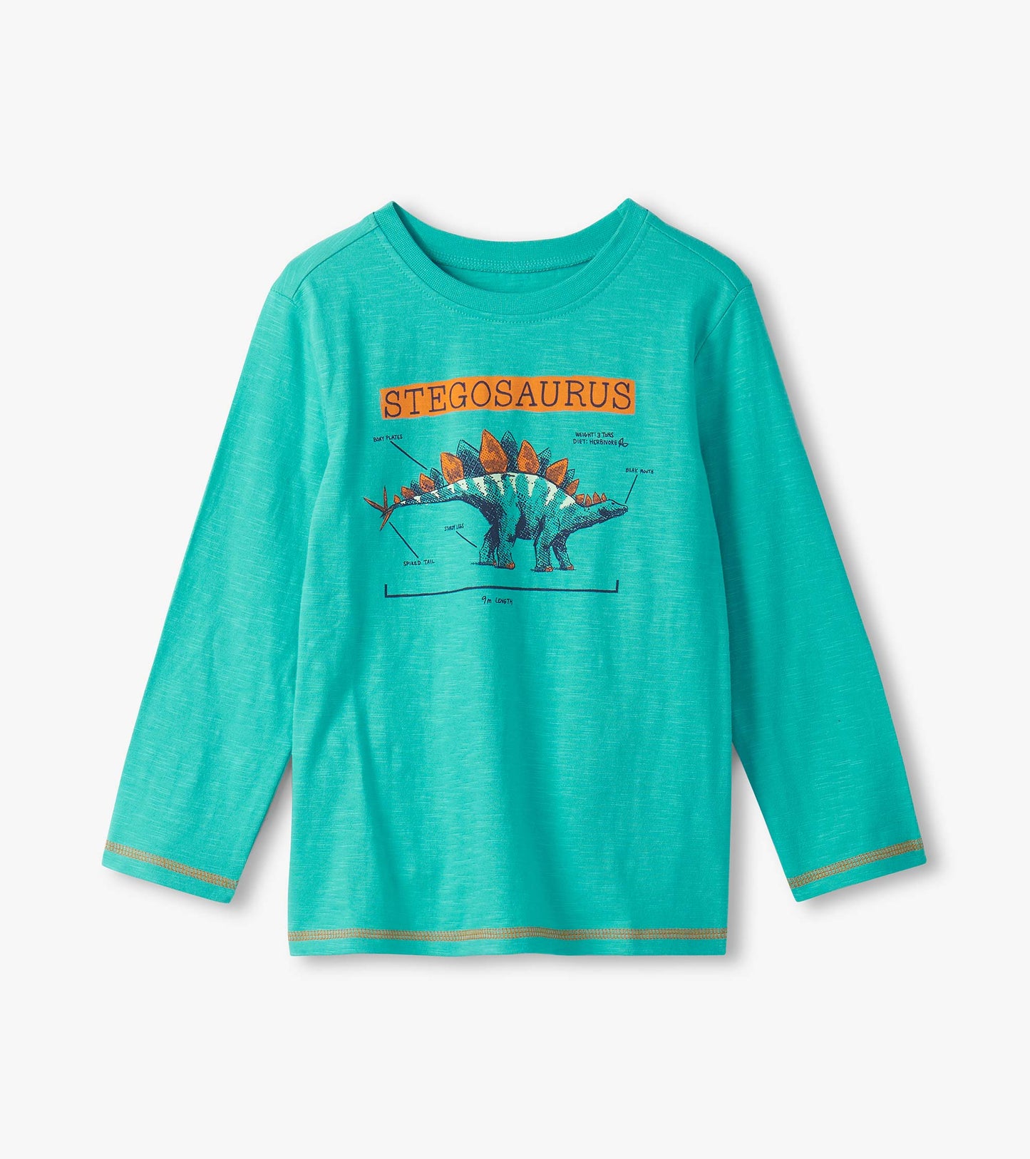 Boys Stegosaurus Long Sleeve Graphic Tee