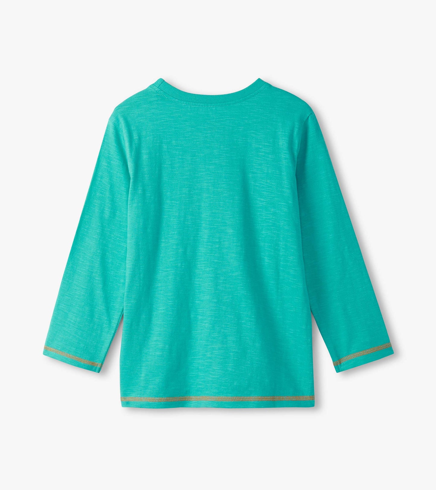 Boys Stegosaurus Long Sleeve Graphic Tee