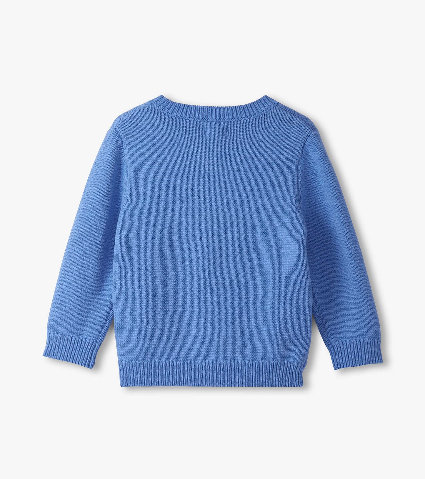 Light blue crew neck sweater for baby and toddler boys, featuring long sleeves and a textured knit design. Back view.