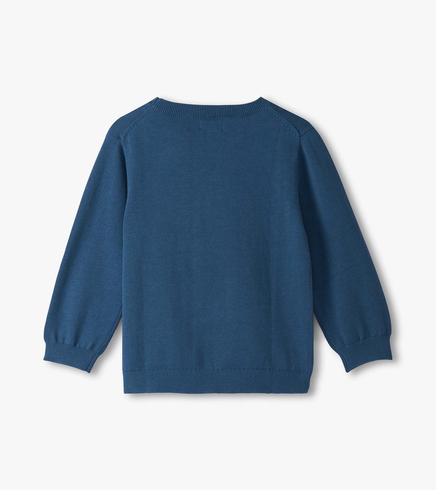 Blue crew neck sweater for baby and toddler boys, featuring long sleeves and a soft knit material. Back view shown.