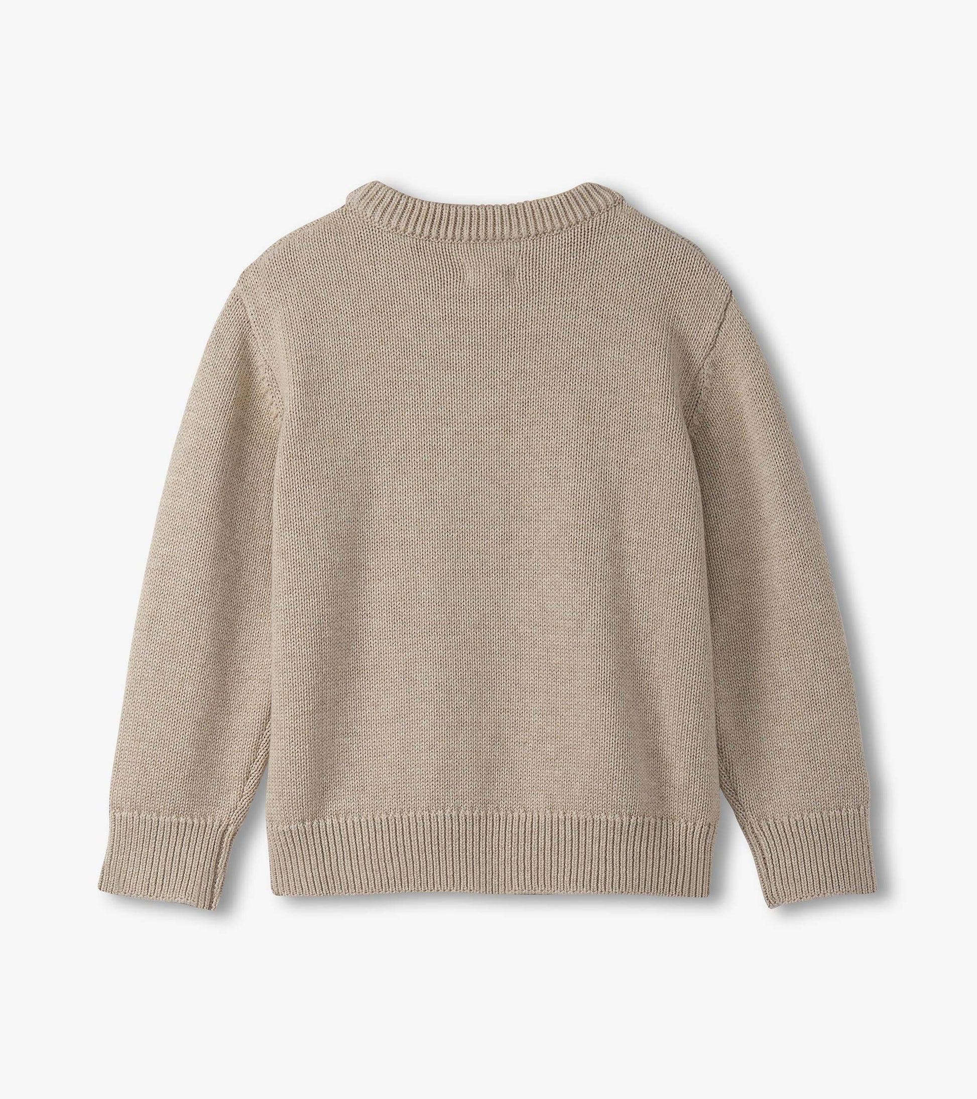Beige crew neck sweater for boys, featuring a textured knit design and ribbed cuffs and hem. Back view shown.