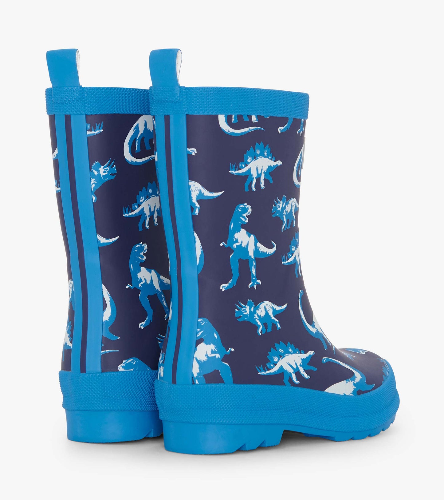 Boys Painted Dinos Matte Wellies