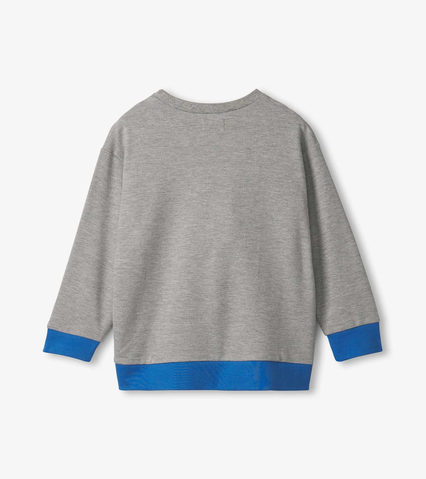 Grey pullover sweatshirt with blue cuffs and hem, featuring a simple striped design. Back view displayed.