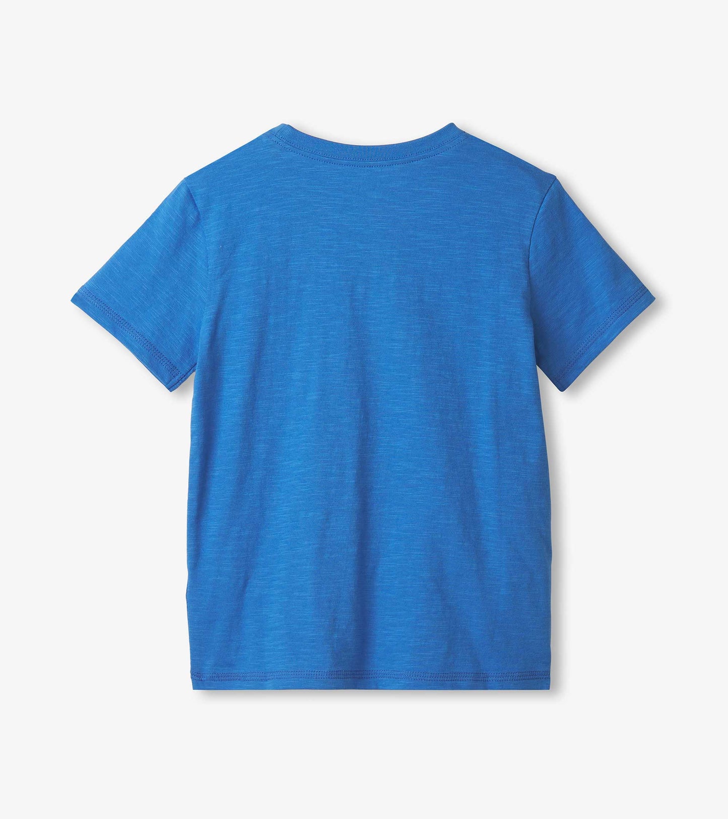 Blue short-sleeve graphic tee featuring a soft texture, suitable for boys. View from the back.