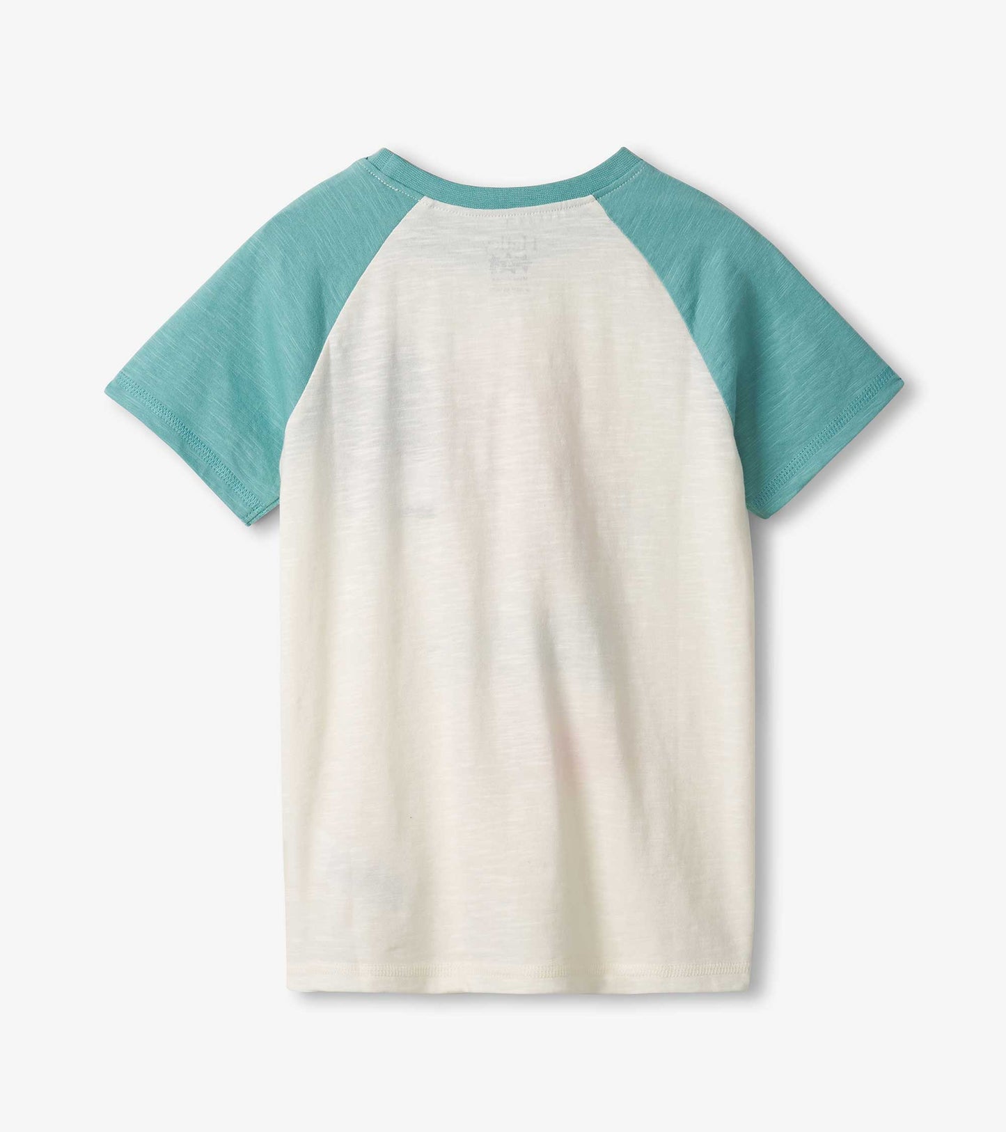 Raglan t-shirt featuring a cream body and teal sleeves, showcasing a casual style for boys. Back view displayed.