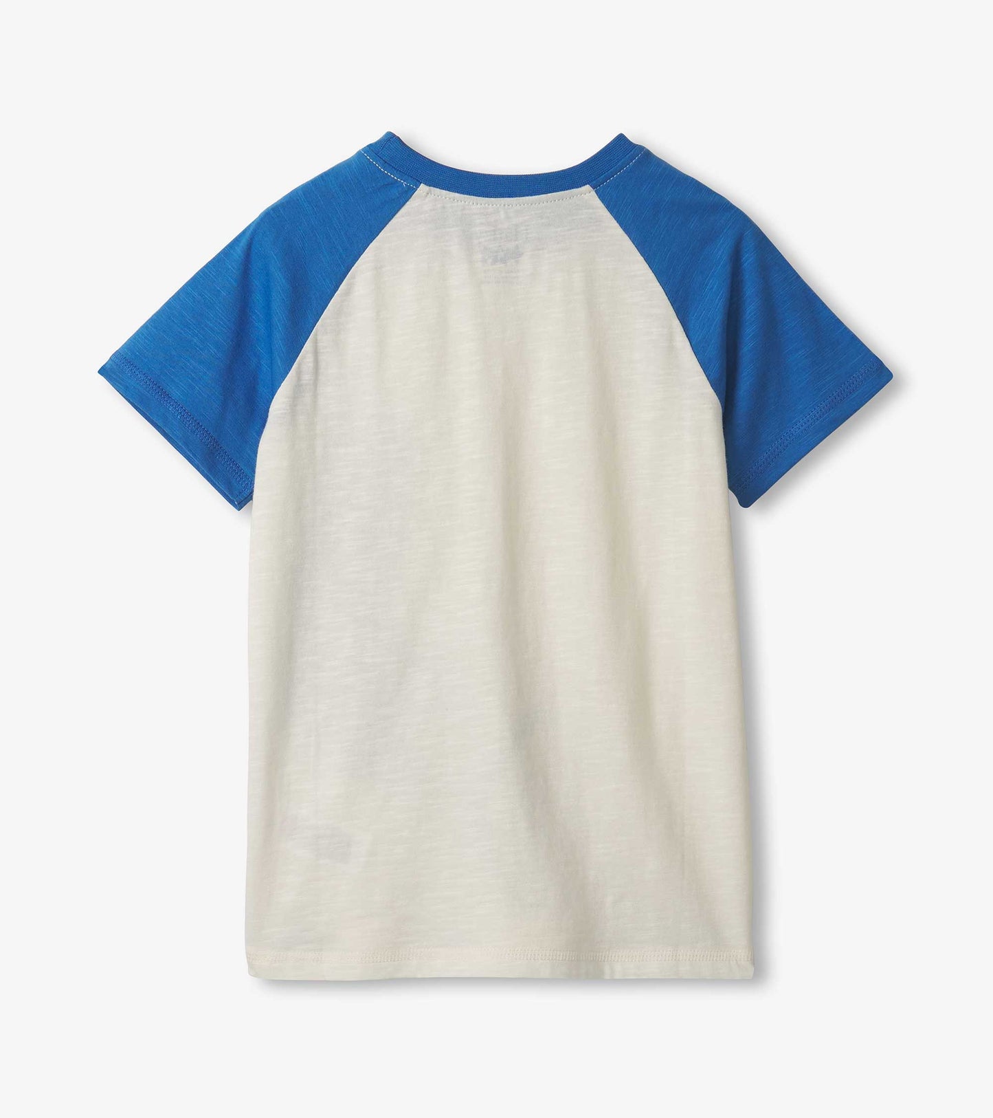 Boys' raglan t-shirt featuring blue sleeves and a light cream body, suitable for casual wear.