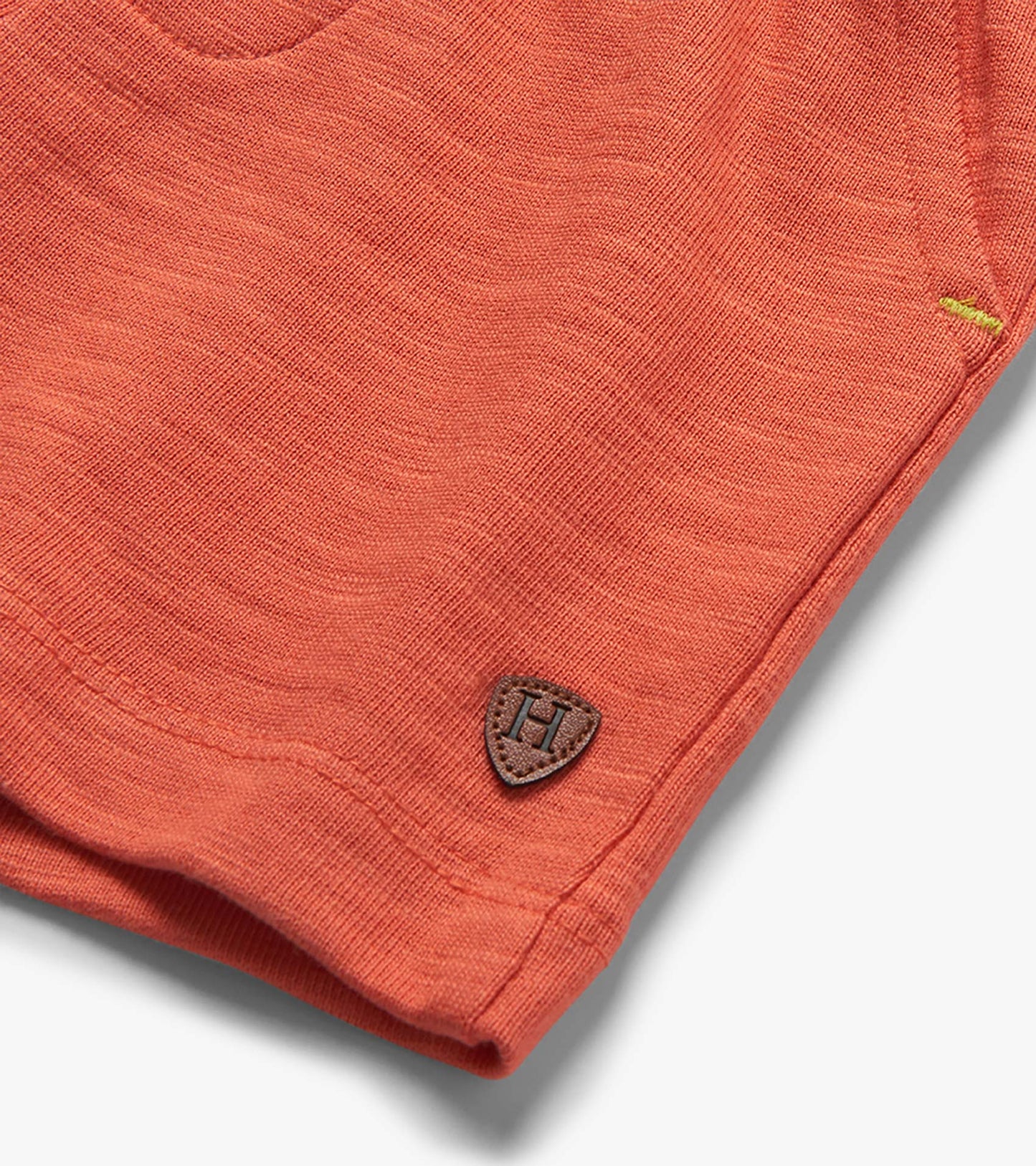 Baby & Toddler Boys Glow in the Dark Stegosaurus T-Shirt & Shorts Set