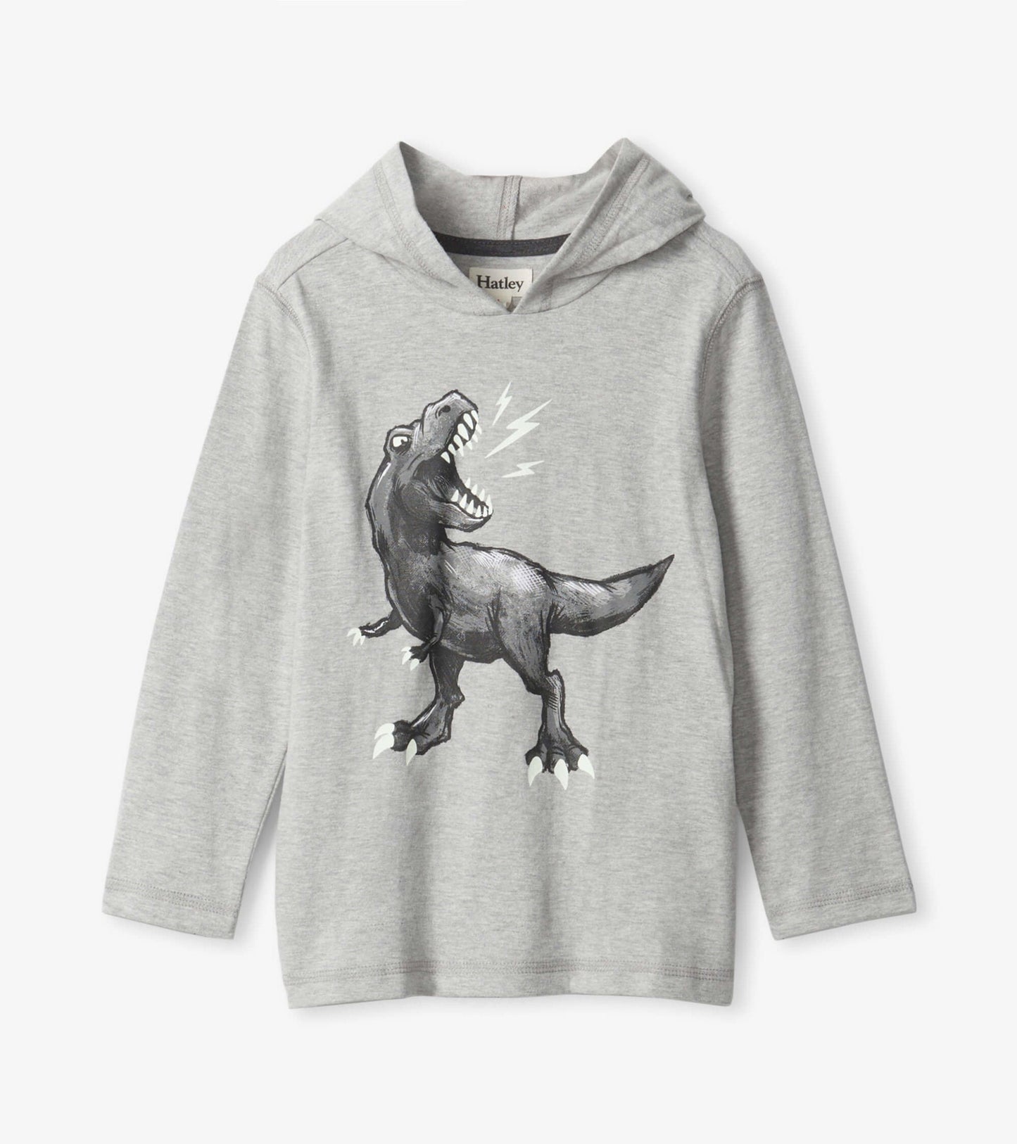 Gray long sleeve hoodie tee featuring a roaring dinosaur graphic on the front.
