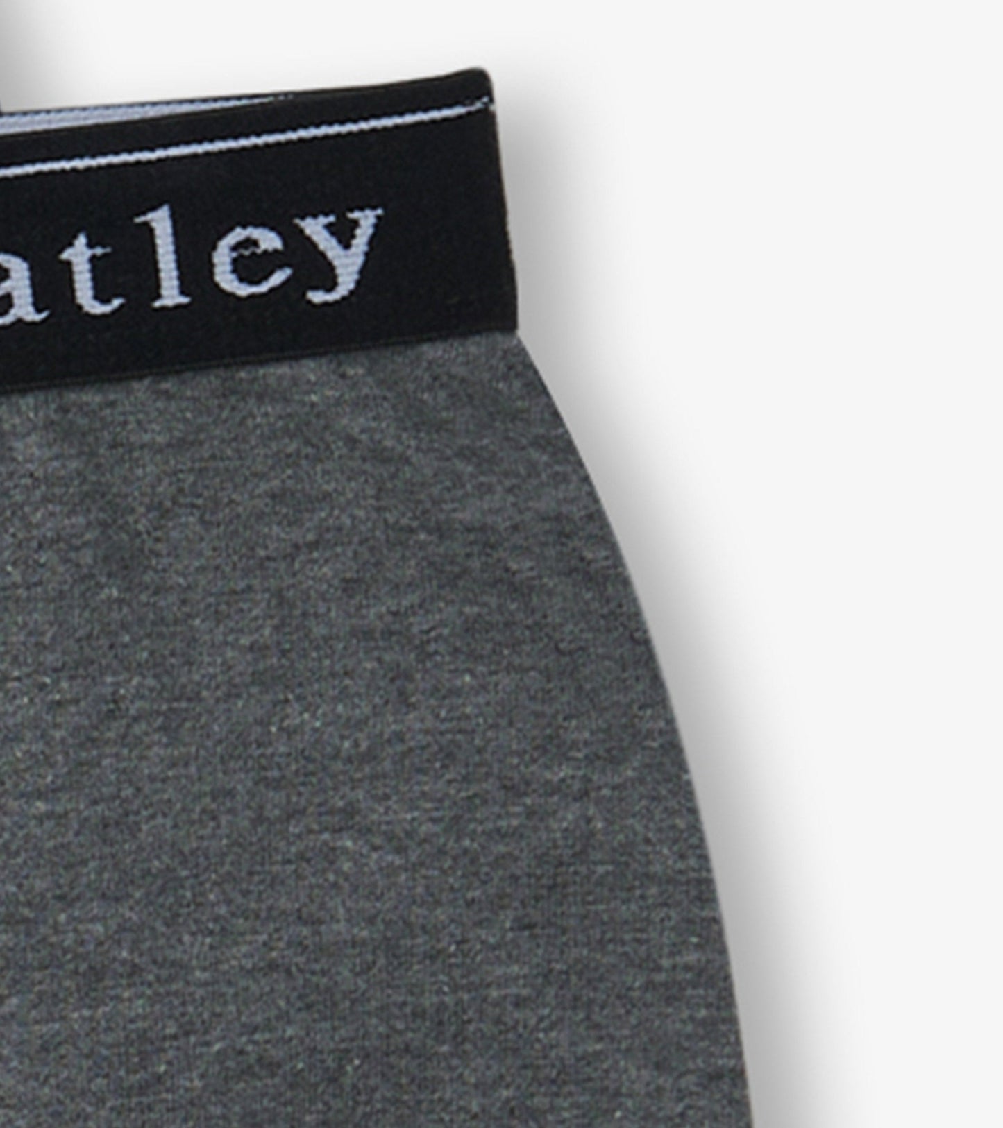 Gray boxer briefs with a black waistband featuring white lettering, designed for boys.