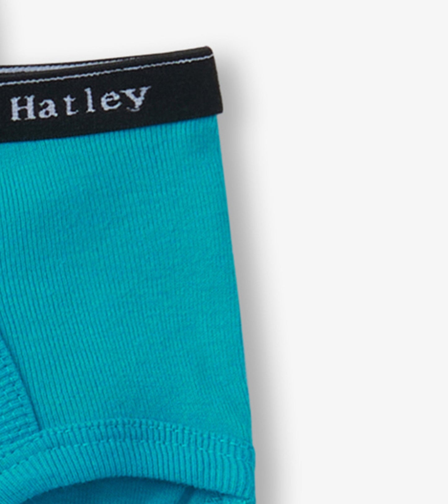 Turquoise solid classic briefs with a black waistband, featuring a ribbed texture and elastic fit.