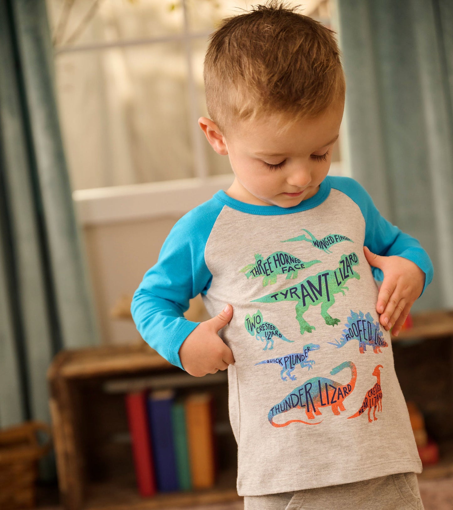 Gray long sleeve t-shirt with blue sleeves featuring colorful dinosaur graphics and text, suitable for young children.