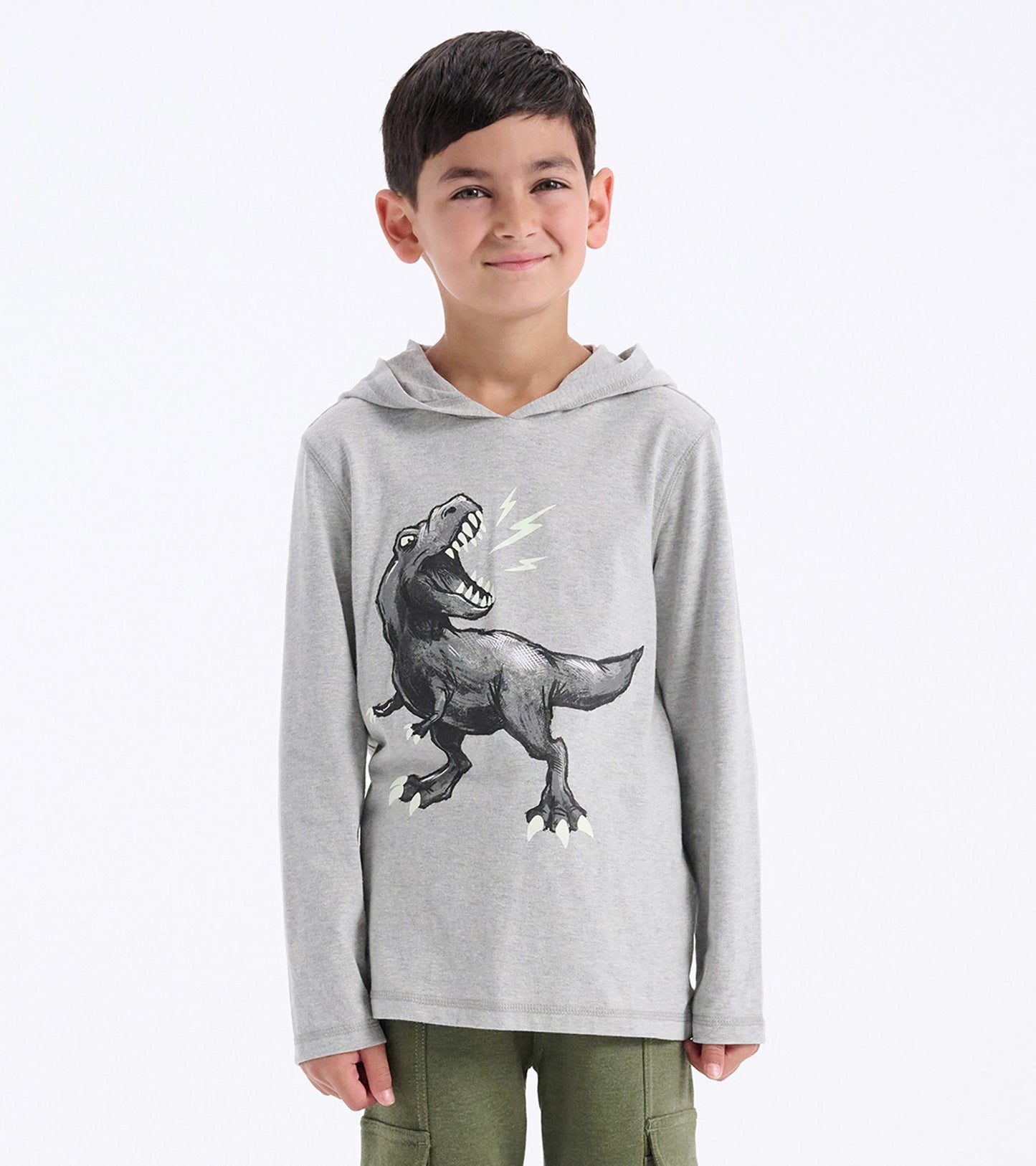 Gray long sleeve hoodie tee featuring a dinosaur graphic on the front, perfect for casual wear.