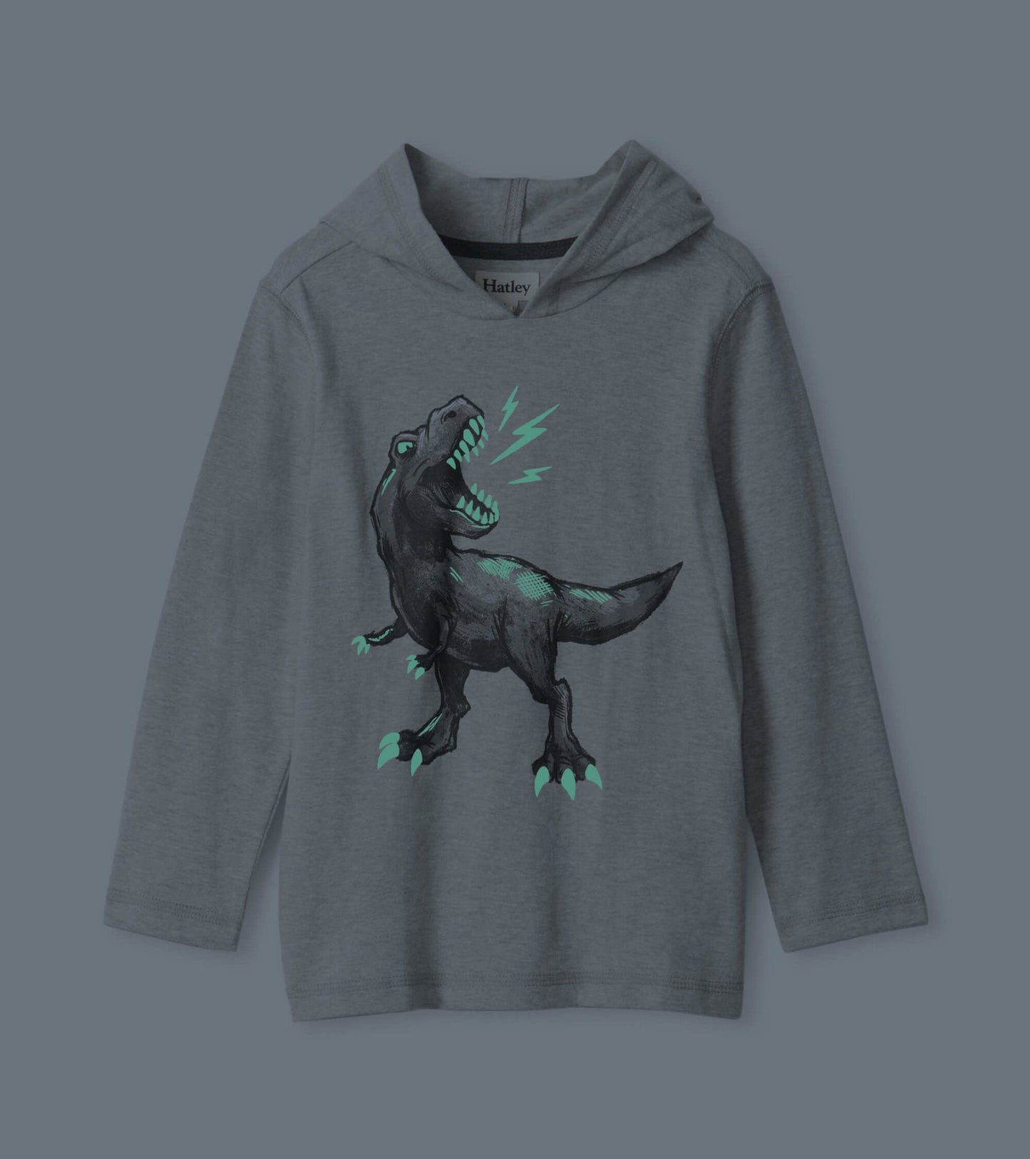 Gray long sleeve hoodie tee featuring a roaring dinosaur graphic with green accents.