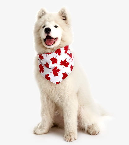 Dog Bandana - Red Maple Leaf Hatley Little Blue House