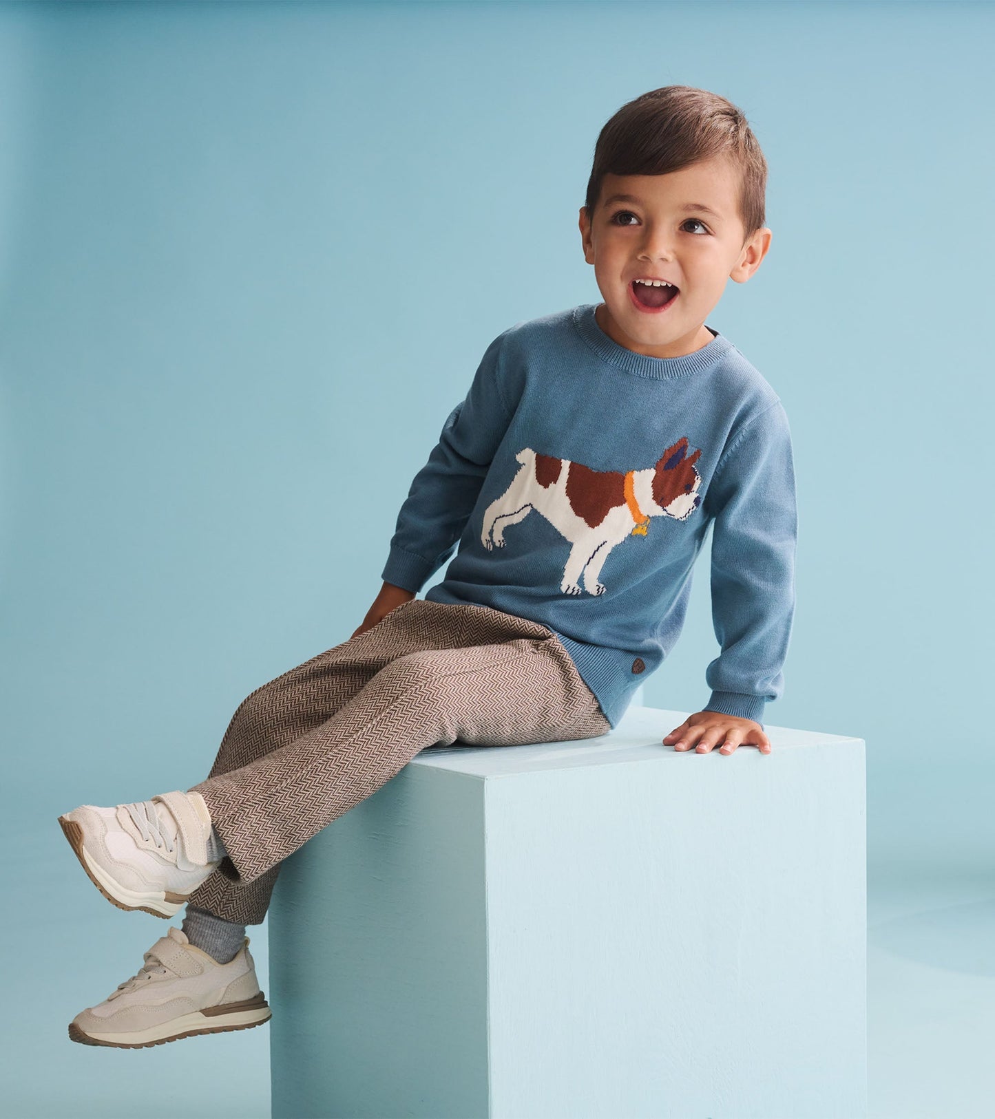 Baby & Toddler Boys French Bulldogs Crew Neck Sweater