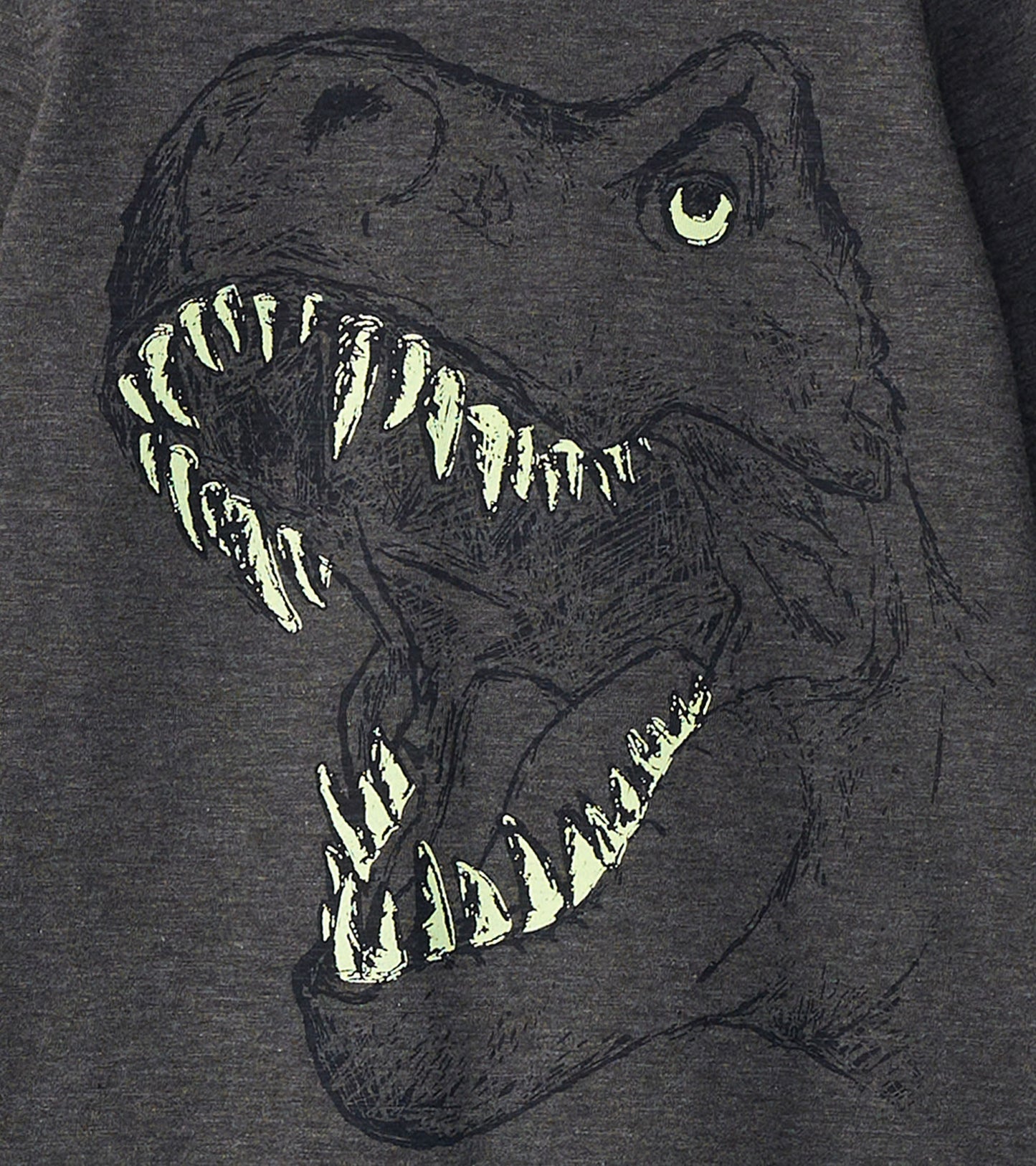 Boys T-Rex Glow in the Dark Long Sleeve T-Shirt