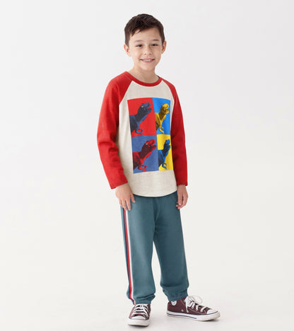 Long sleeve raglan t-shirt featuring a dinosaur graphic in vibrant colors on a cream background with red sleeves.