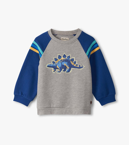Baby & Toddler Boys Glow in the Dark Dino Pullover Sweatshirt