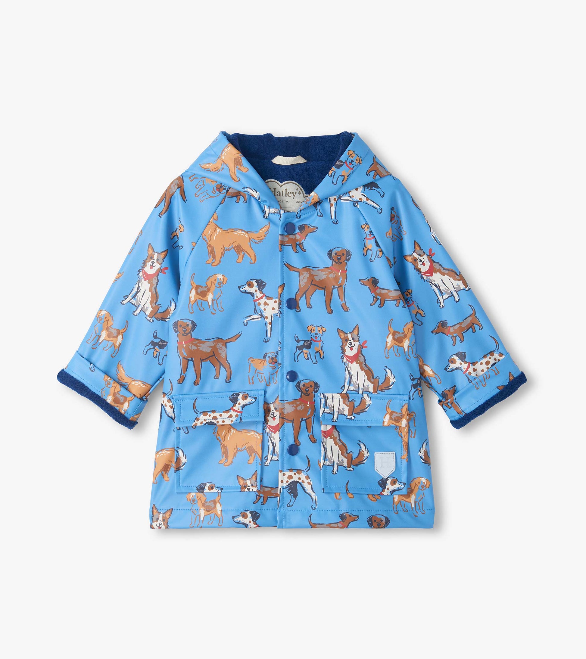 Front view of blue snap rain coat with hood, flap pockets, and allover dog print
