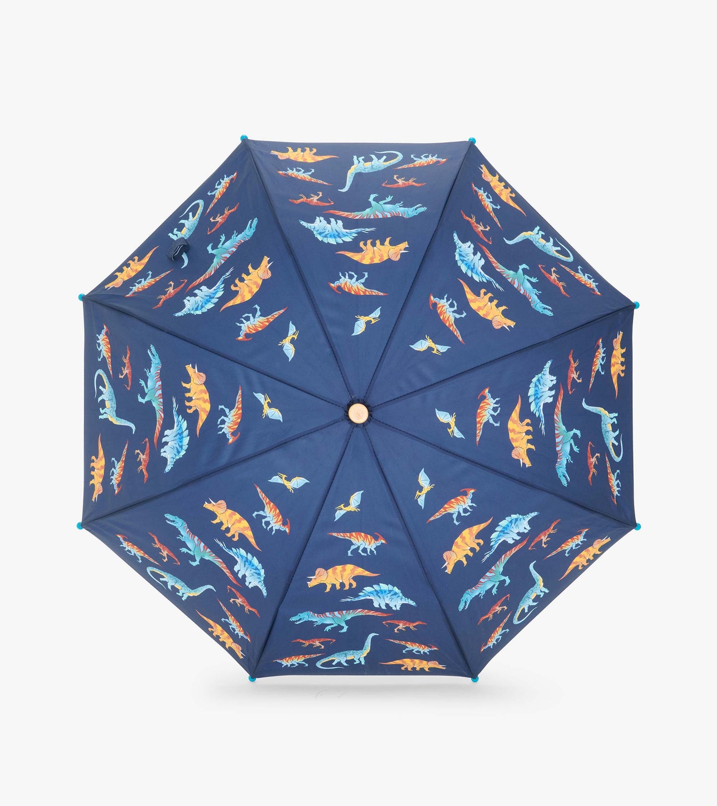 Top view of open navy umbrella with colorful dinosaur and flying reptile print