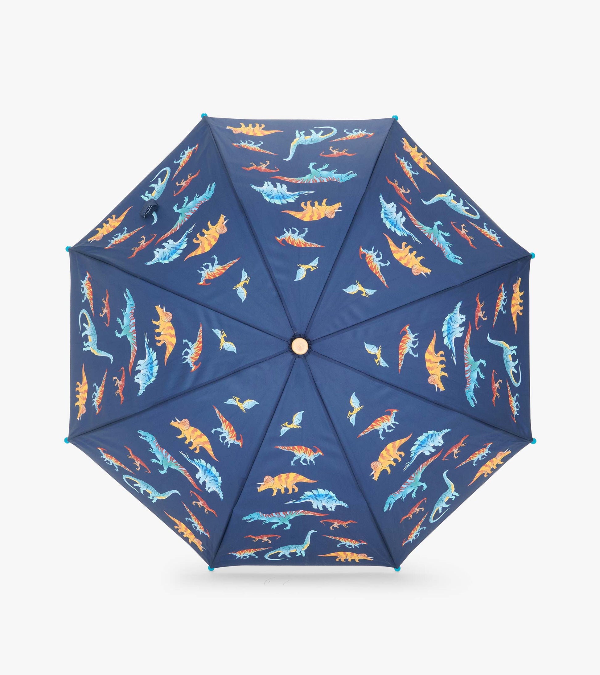 Top view of open navy umbrella with colorful dinosaur and flying reptile print