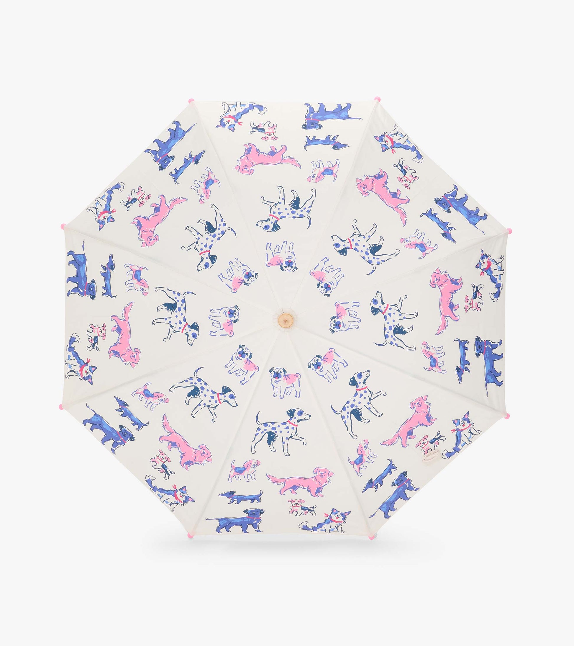 Top view of clear umbrella opened flat with pink, blue, and black dog illustrations