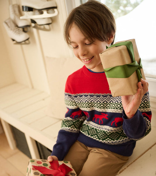 Boys Holiday Fair Isle Crew Neck Sweater
