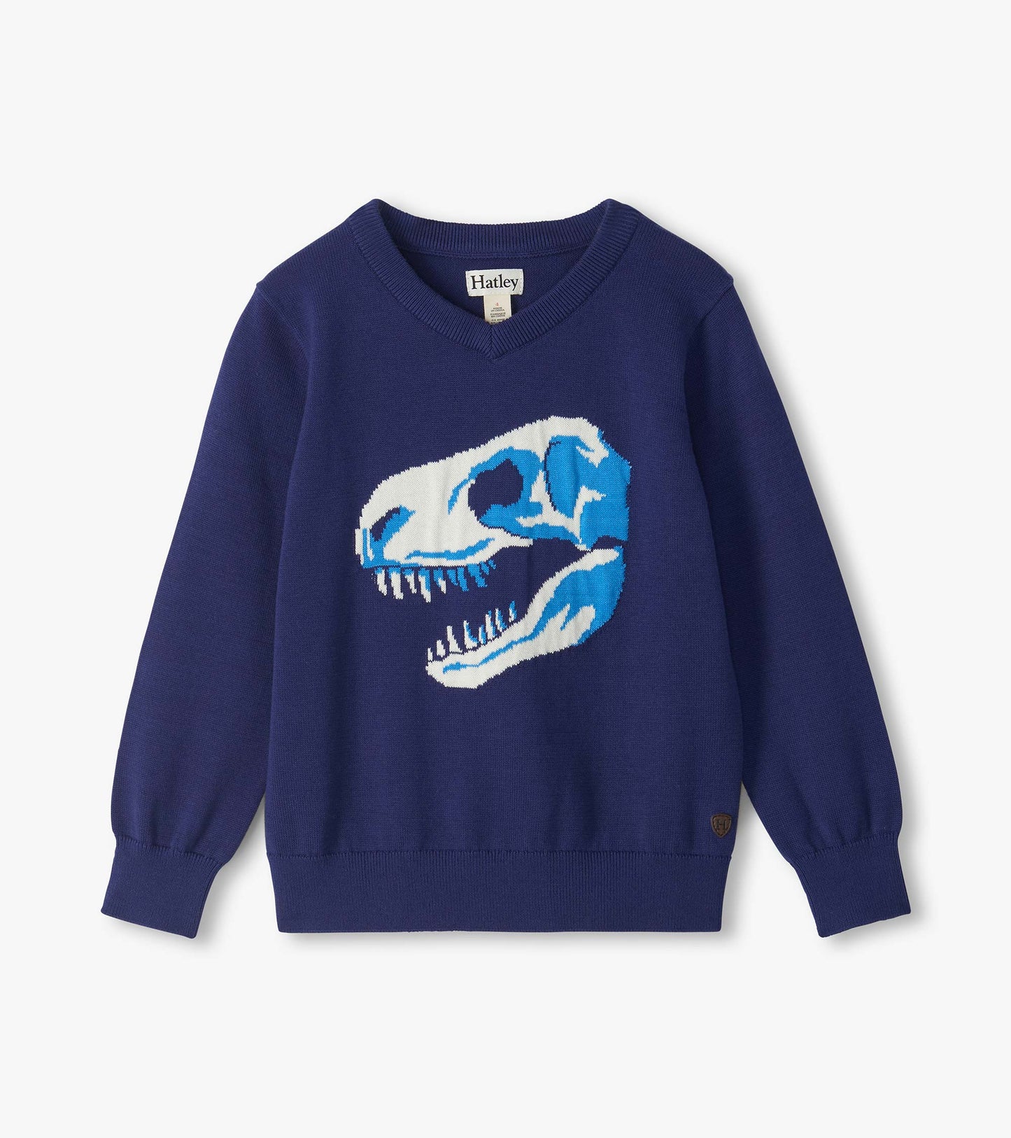 Blue V-neck sweater with a large white and light blue dinosaur skull graphic on the front
