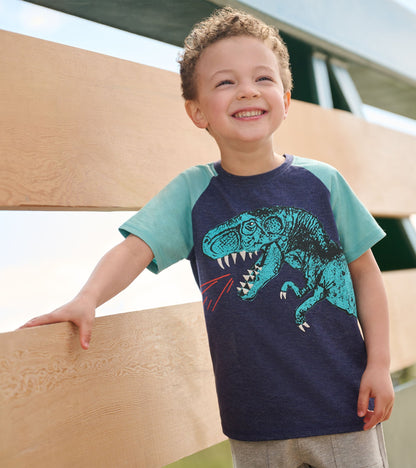 Boys T-Rex Raglan T-Shirt