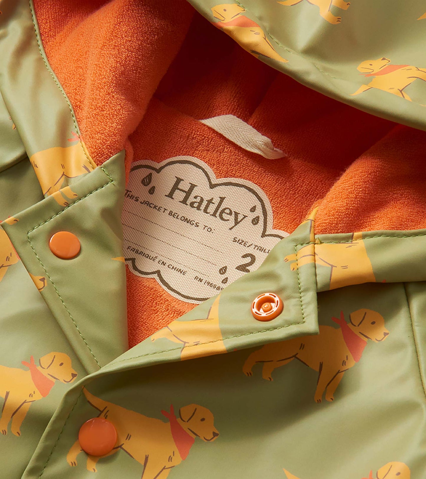 Baby & Toddler Boys Camping Puppy Button-Up Raincoat