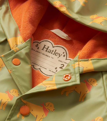 Baby & Toddler Boys Camping Puppy Button-Up Raincoat