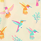 View Girls Springtime Hummingbirds Bamboo Short Pajama Set - Pattern of colorful hummingbirds and blue leaves on a light background