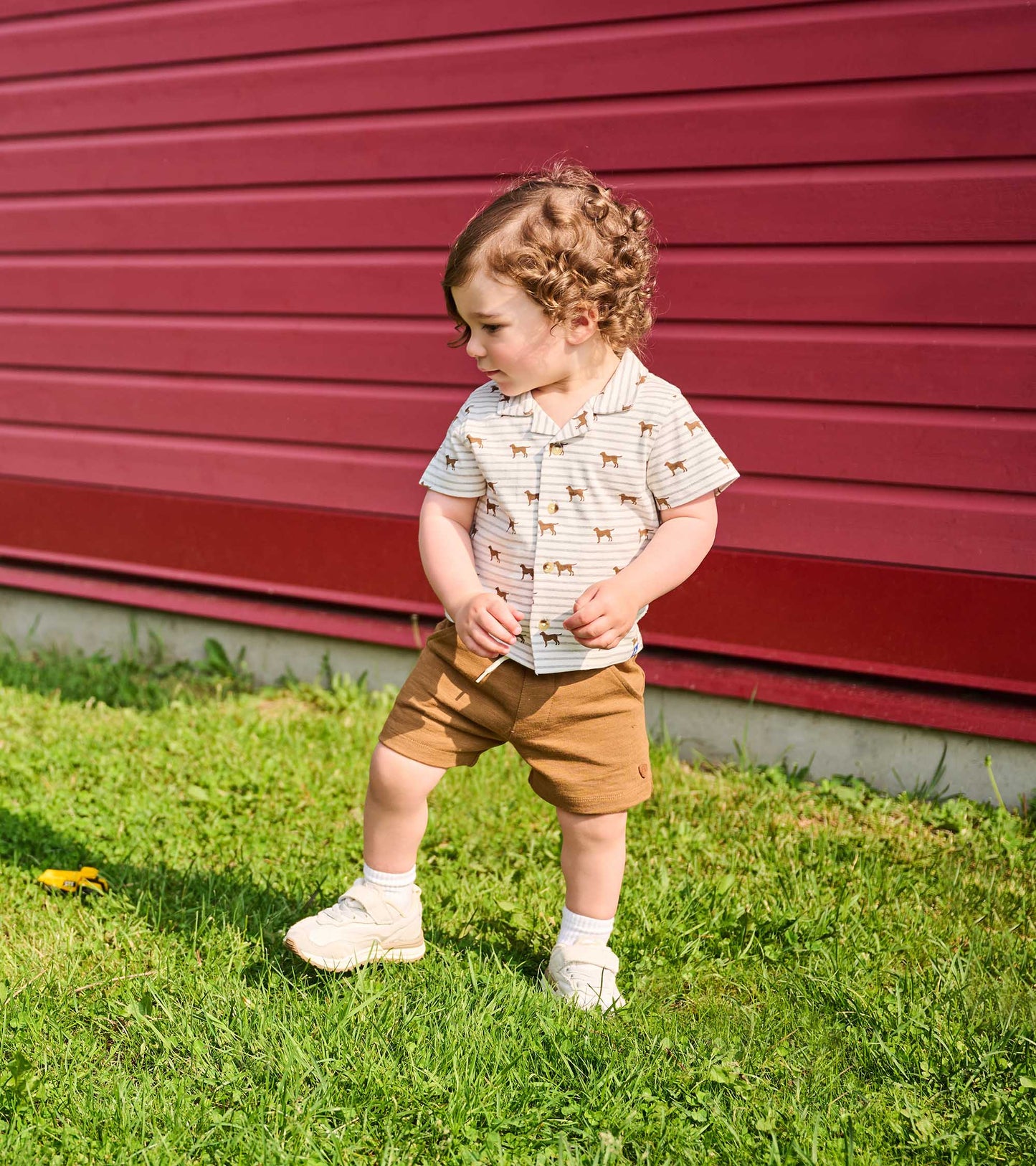 Baby & Toddler Boys Toasted Coconut Pull-On Shorts