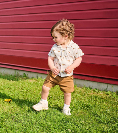 Baby & Toddler Boys Toasted Coconut Pull-On Shorts