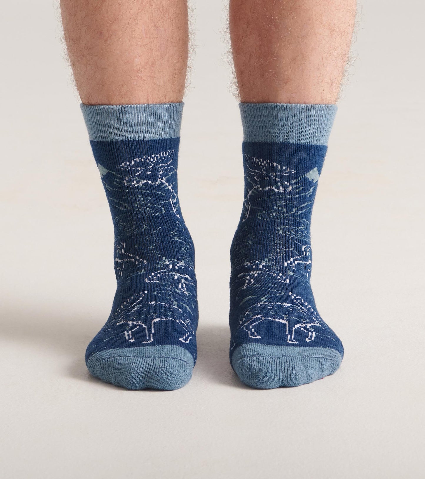 Blue Moose Cozy Socks