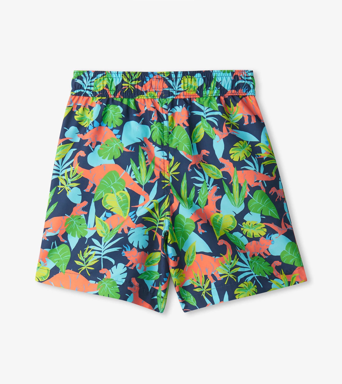 Boys Dino Jungle Swim Trunks