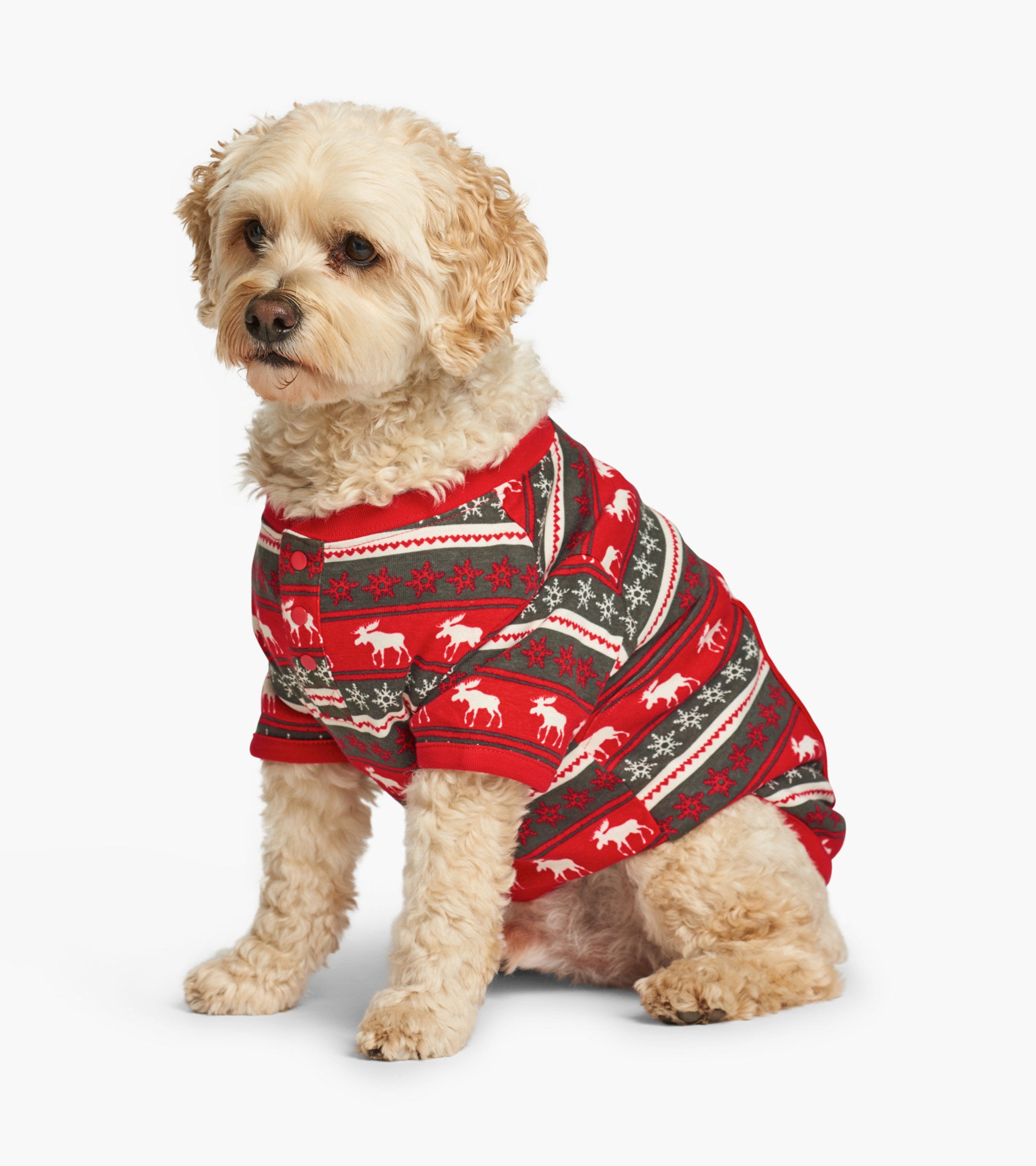 Dog christmas clothes uk hotsell