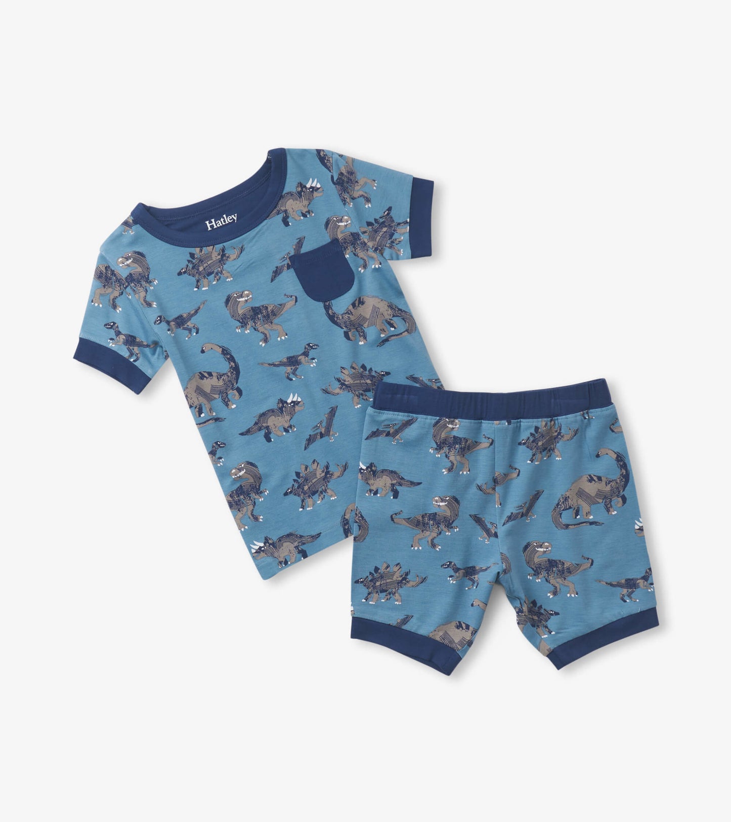 Boys Dinosaur Bamboo Short Pajama Set