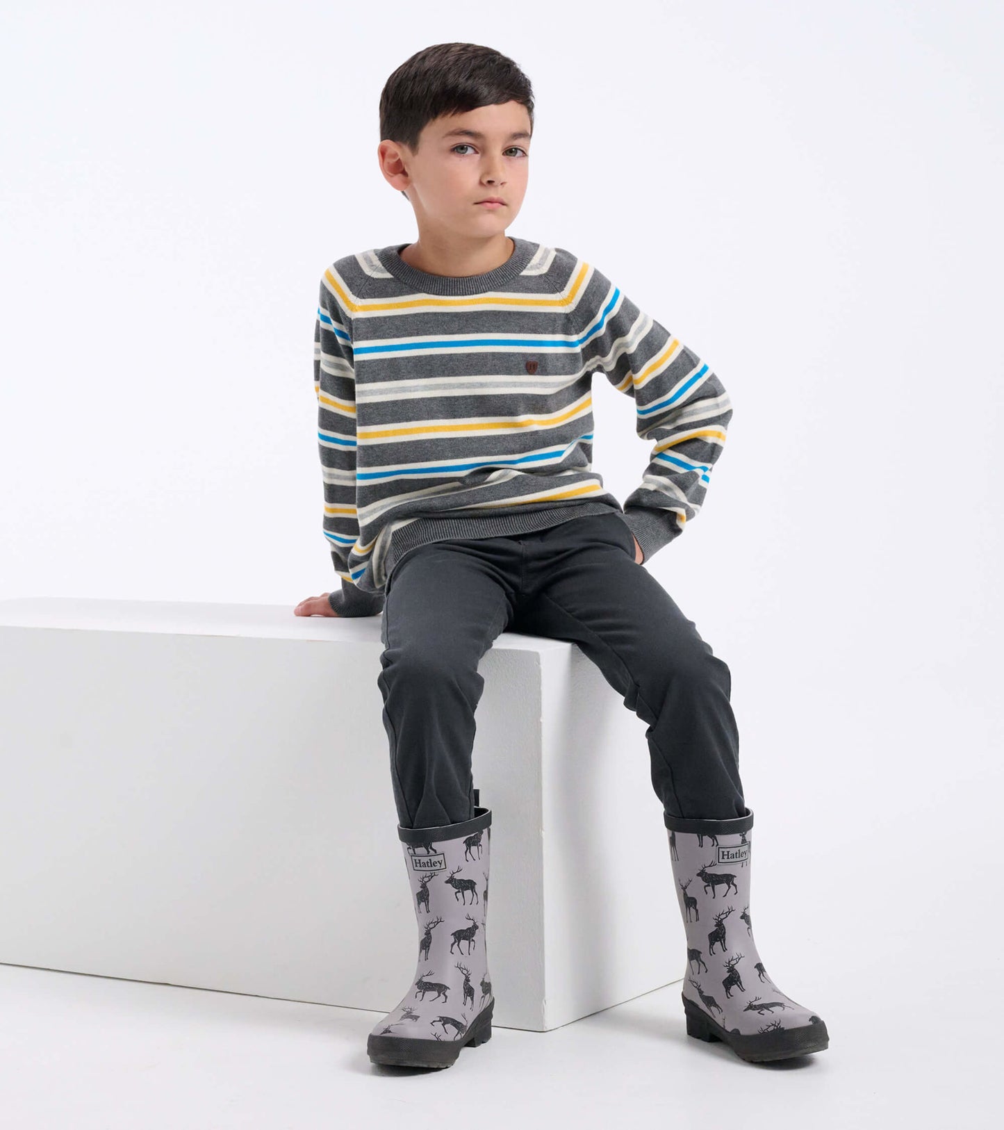 Boys Dino Stripes Crew Neck Sweater