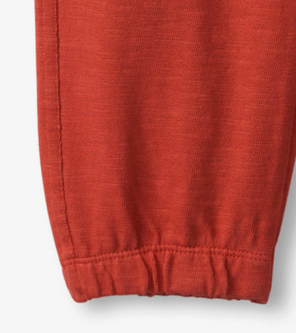 Boys Mountain Red Cozy Pants