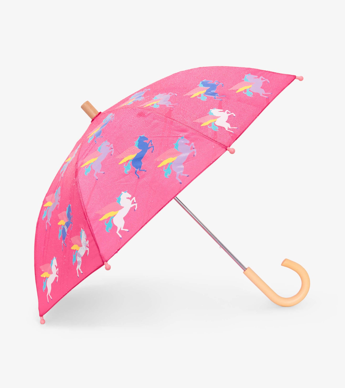 Graphic Pegusus Colour Changing Umbrella