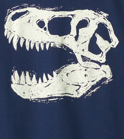 Boys Dino Glow Pullover Sweatshirt