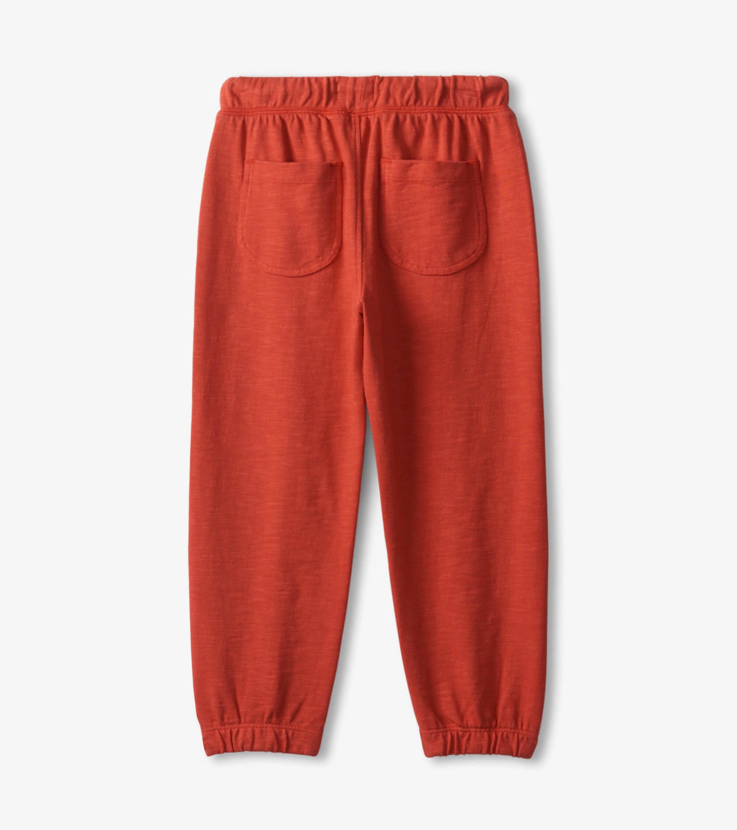 Boys Mountain Red Cozy Pants